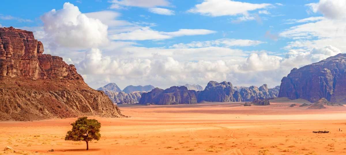 Wadi Rum Bubble Tent & Bedouin Style 外观 照片